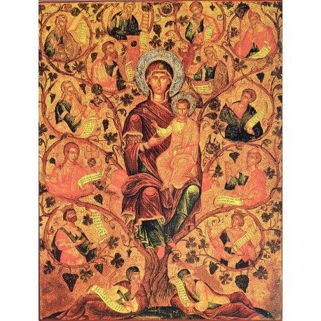 Panna Maria Jišajův kořen